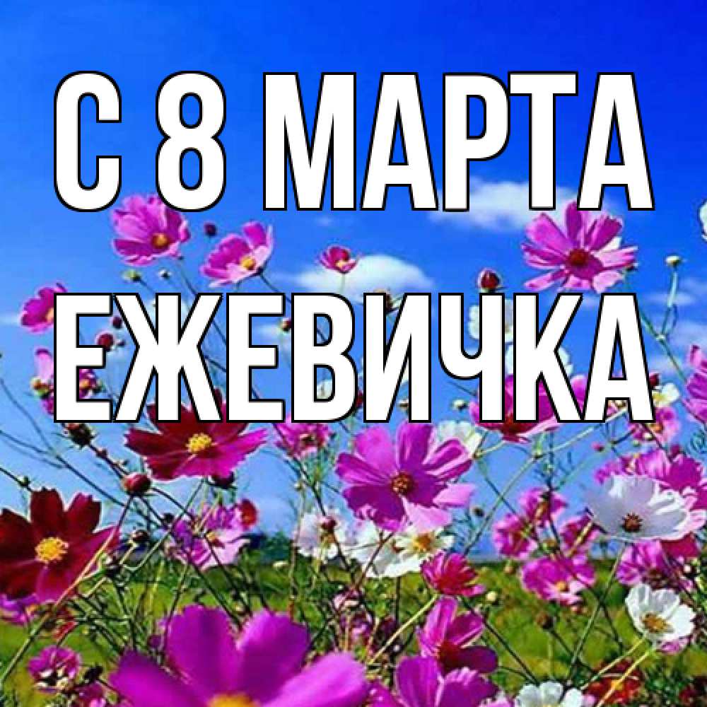 Открытка на каждый день с именем, ежевичка C 8 МАРТА цветы Прикольная открытка с пожеланием онлайн скачать бесплатно 
