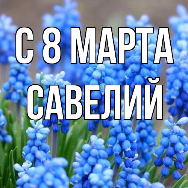 Картинка C 8 МАРТА, Савелий
