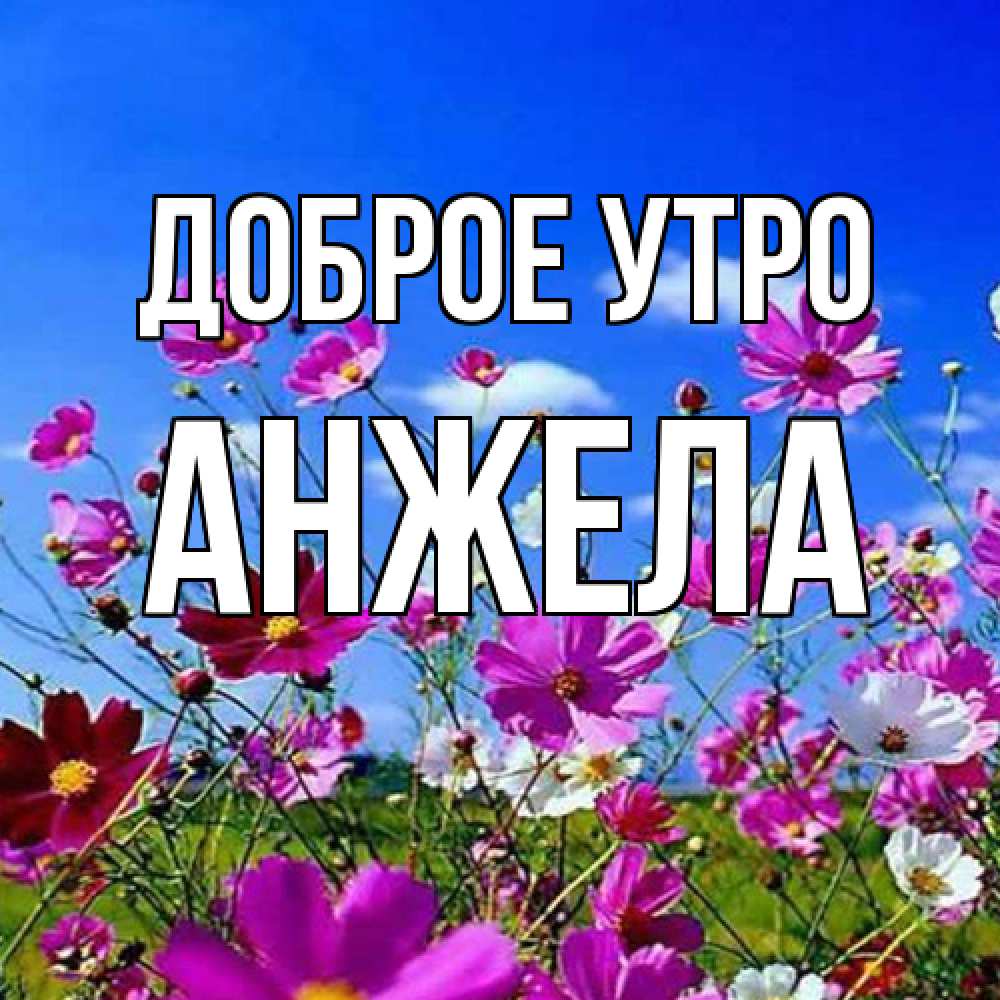Открытка на каждый день с именем, Анжела Доброе утро сиреневые цветы Прикольная открытка с пожеланием онлайн скачать бесплатно 