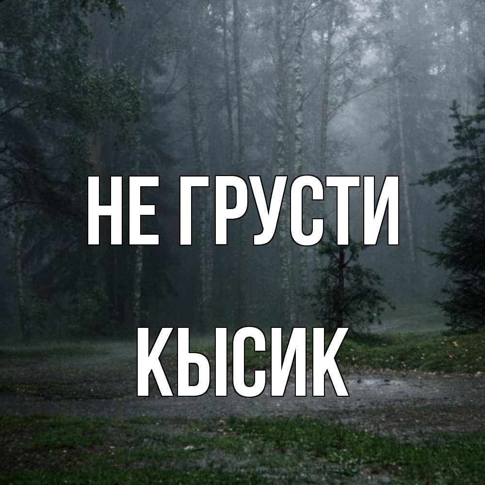 Открытка на каждый день с именем, Кысик Не грусти осень Прикольная открытка с пожеланием онлайн скачать бесплатно 