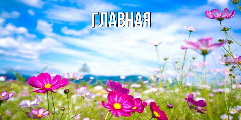 Открытка на каждый день с именем, Анна Главная поле цветов Прикольная открытка с пожеланием онлайн скачать бесплатно 