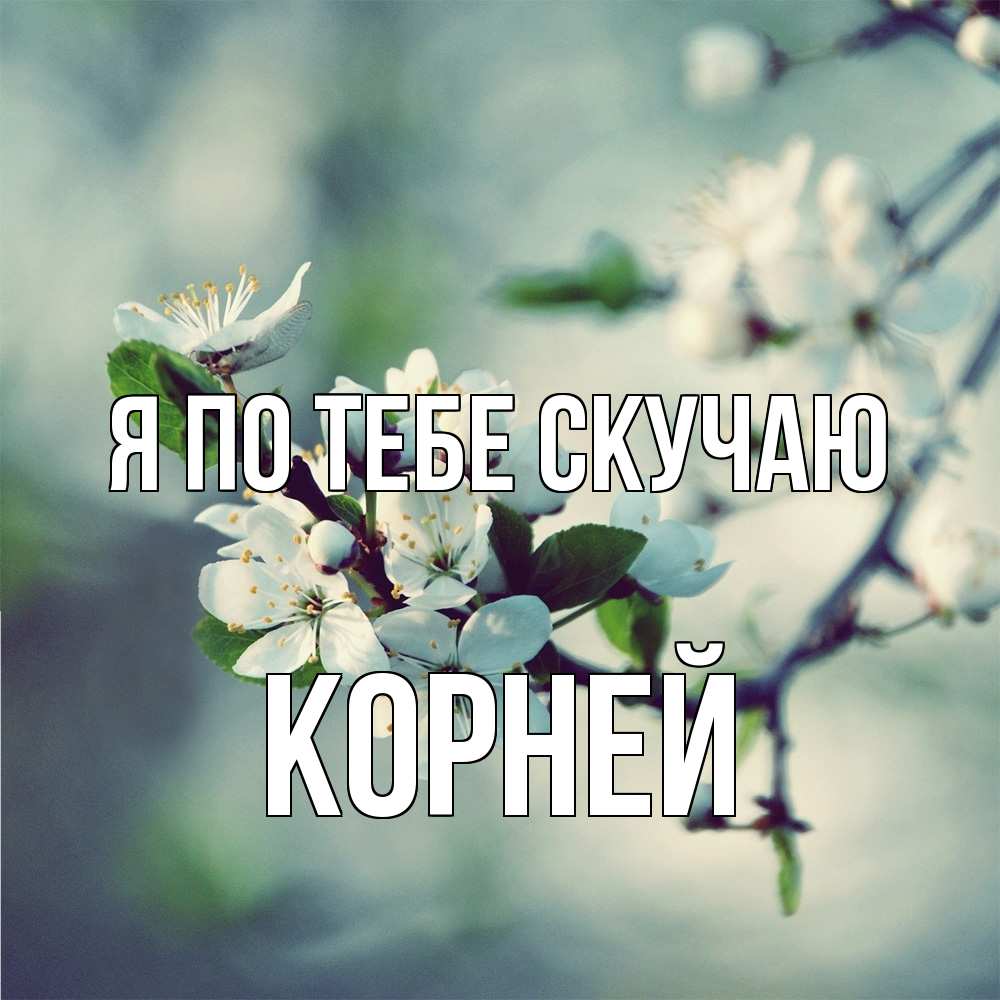 Открытка на каждый день с именем, Корней Я по тебе скучаю весна Прикольная открытка с пожеланием онлайн скачать бесплатно 