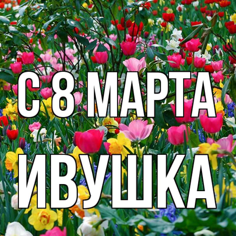 Картинка C 8 МАРТА, Ивушка