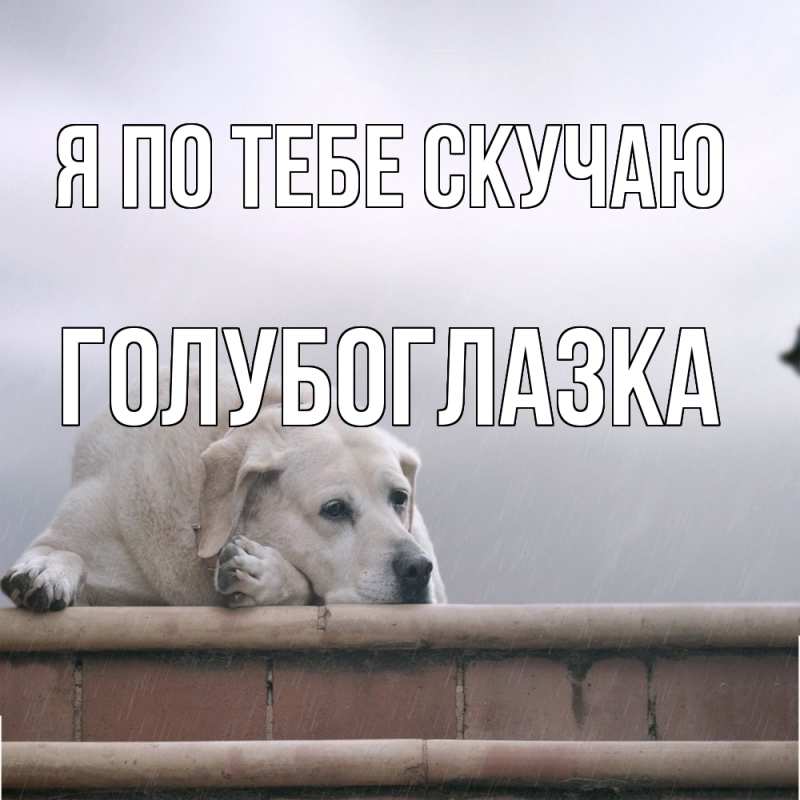 Картинка Я по тебе скучаю, Голубоглазка