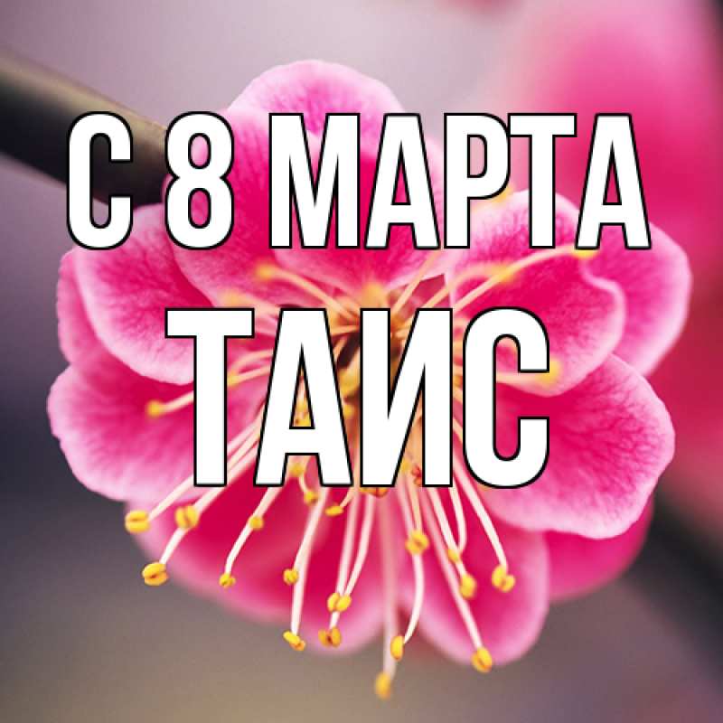 Картинка C 8 МАРТА, Таис