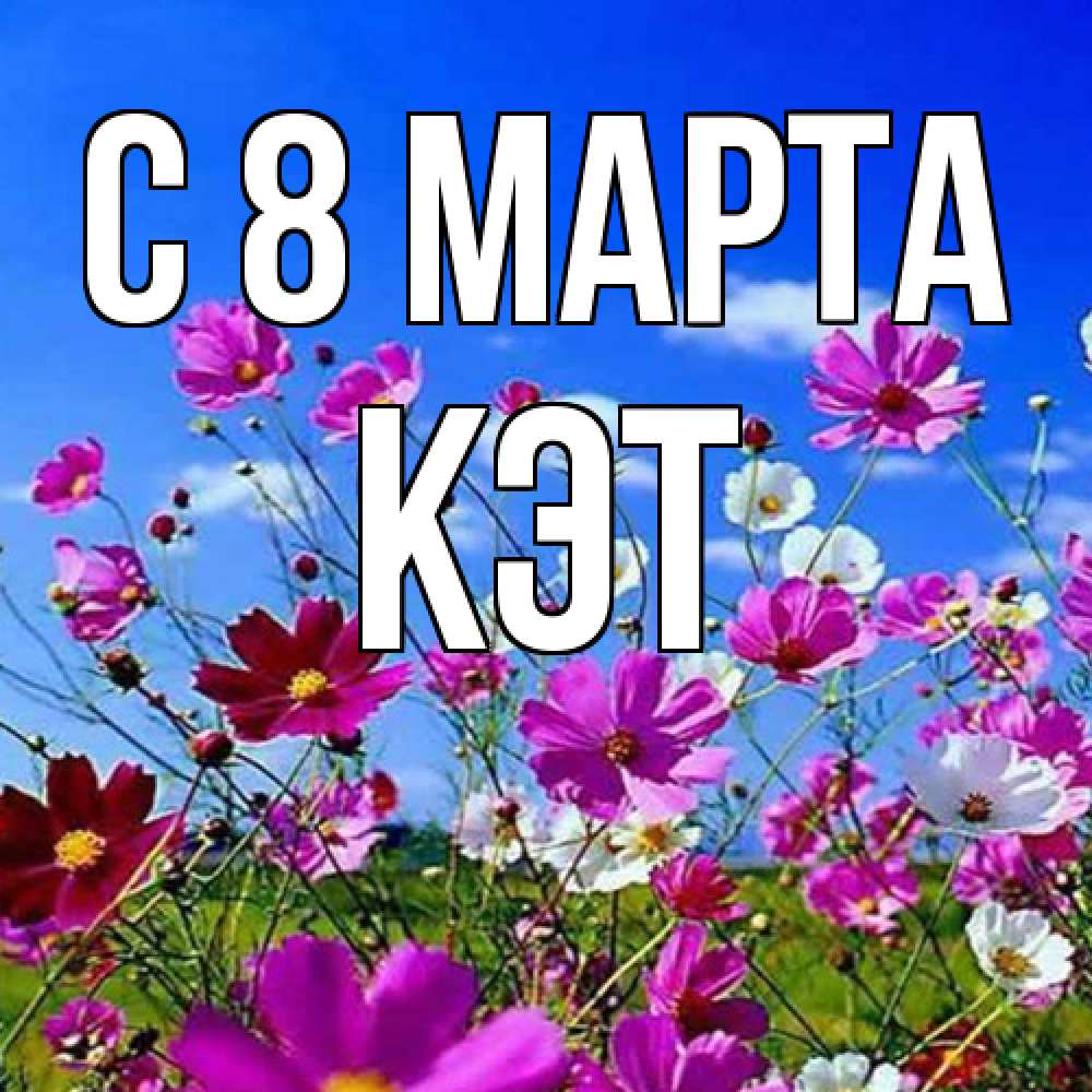 Открытка на каждый день с именем, Кэт C 8 МАРТА цветы Прикольная открытка с пожеланием онлайн скачать бесплатно 