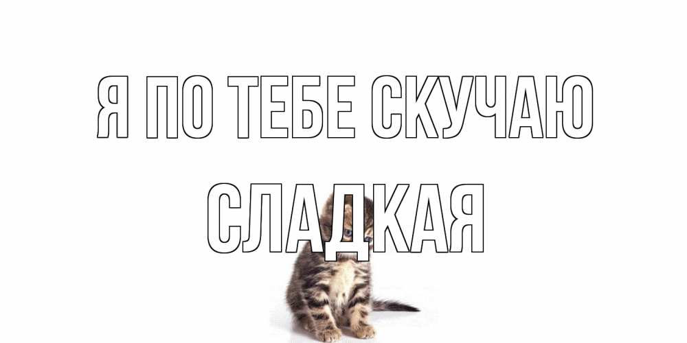 Открытка на каждый день с именем, сладкая Я по тебе скучаю кот Прикольная открытка с пожеланием онлайн скачать бесплатно 