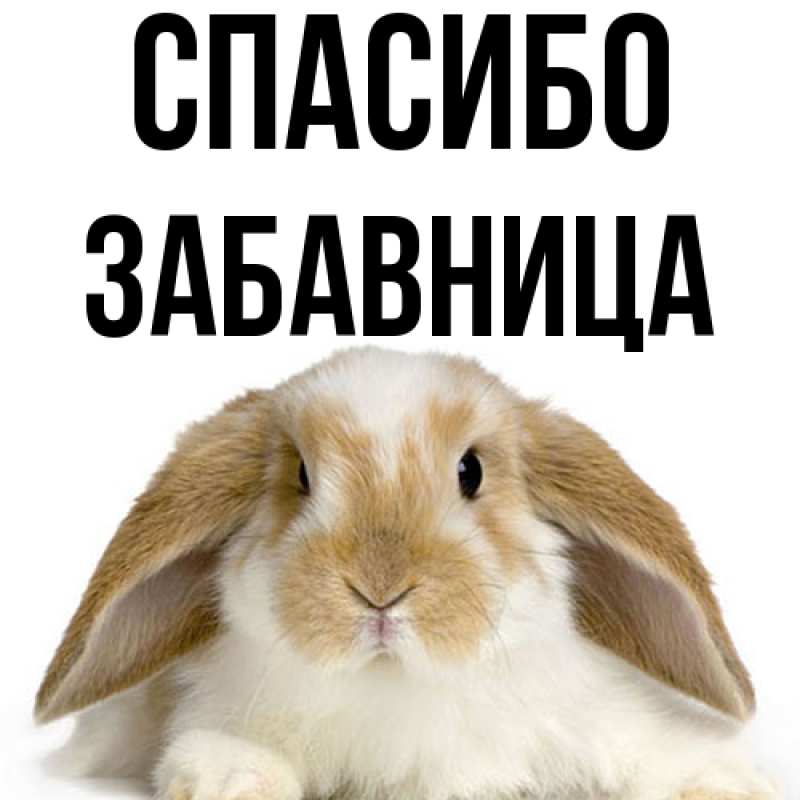 Картинка Спасибо, Забавница