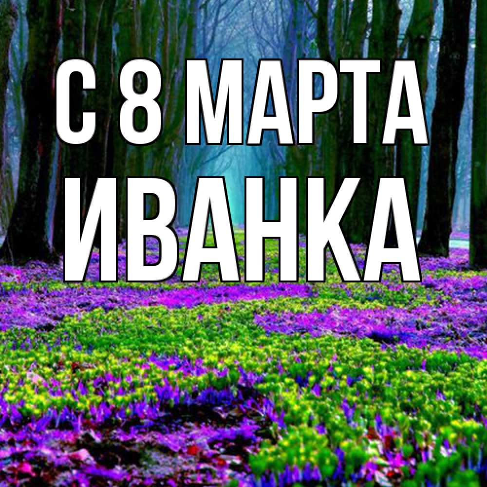 Открытка на каждый день с именем, Иванка C 8 МАРТА фиолетовые цветы в лесу 1 Прикольная открытка с пожеланием онлайн скачать бесплатно 