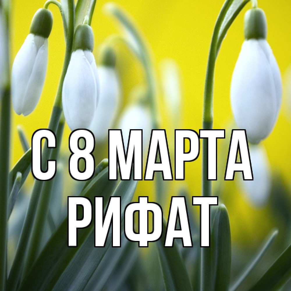 Открытка на каждый день с именем, Рифат C 8 МАРТА весенние цветы Прикольная открытка с пожеланием онлайн скачать бесплатно 