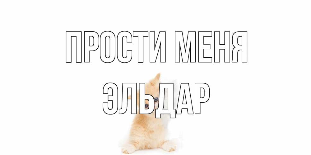 Открытка на каждый день с именем, Эльдар Прости меня кот Прикольная открытка с пожеланием онлайн скачать бесплатно 