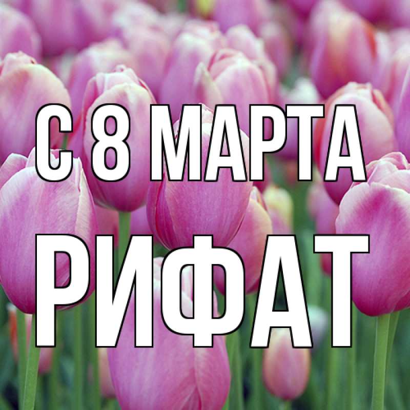 Картинка C 8 МАРТА, Рифат