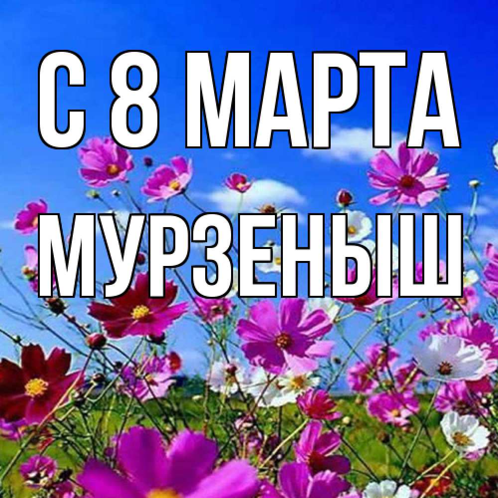 Открытка на каждый день с именем, мурзеныш C 8 МАРТА цветы Прикольная открытка с пожеланием онлайн скачать бесплатно 
