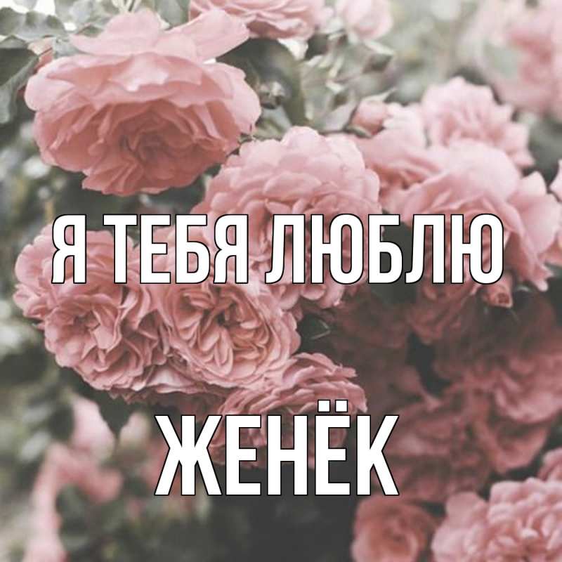 Картинка Я тебя люблю, Женёк