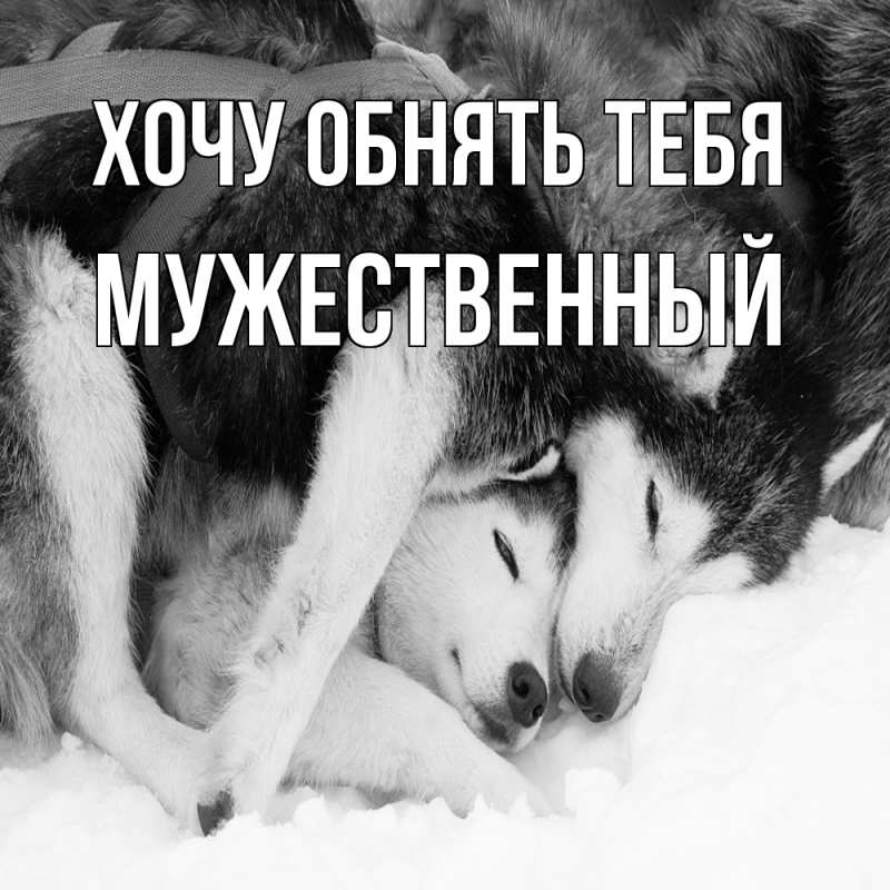 Картинка Хочу обнять тебя, Мужественный