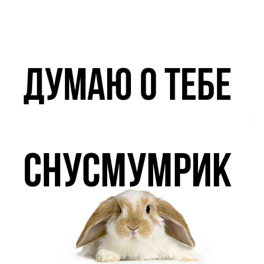 Открытка на каждый день с именем, Снусмумрик Думаю о тебе подписать своими руками онлайн Прикольная открытка с пожеланием онлайн скачать бесплатно 