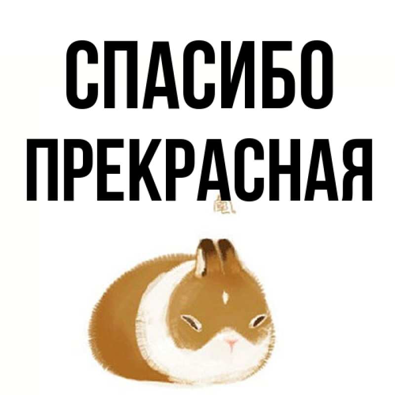 Картинка Спасибо, Пpекpасная