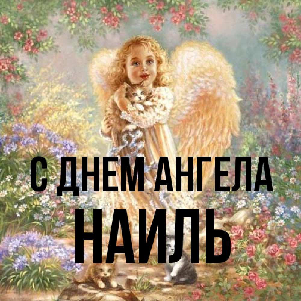 Открытка на каждый день с именем, Наиль С днем ангела держит котенка Прикольная открытка с пожеланием онлайн скачать бесплатно 