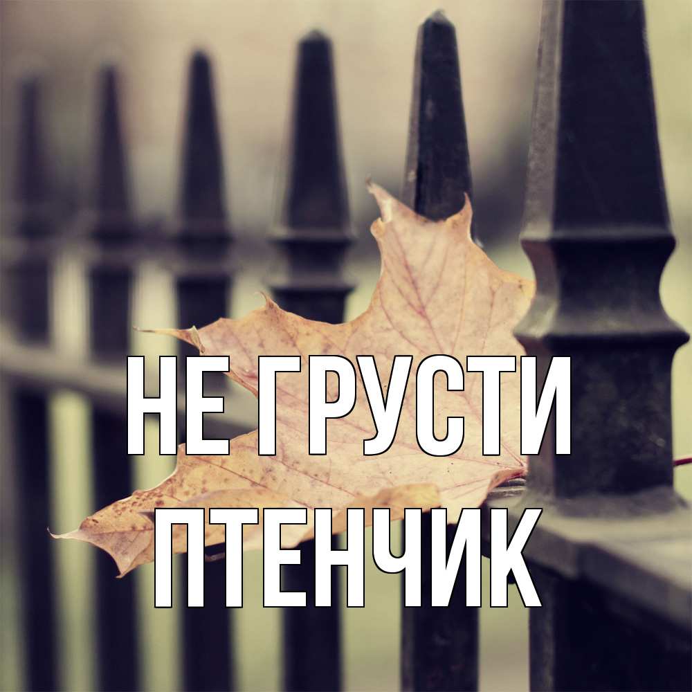 Открытка на каждый день с именем, Птенчик Не грусти лист клена Прикольная открытка с пожеланием онлайн скачать бесплатно 