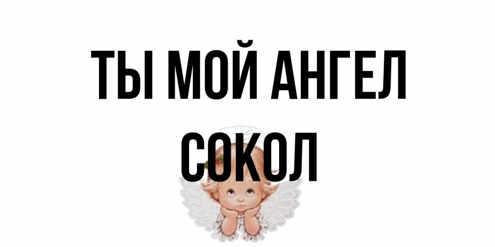 Открытка на каждый день с именем, Сокол Ты мой ангел ангел Прикольная открытка с пожеланием онлайн скачать бесплатно 
