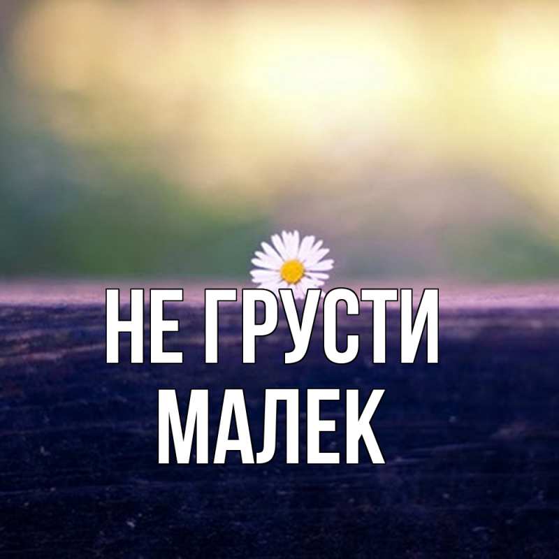 Картинка Не грусти, Малек