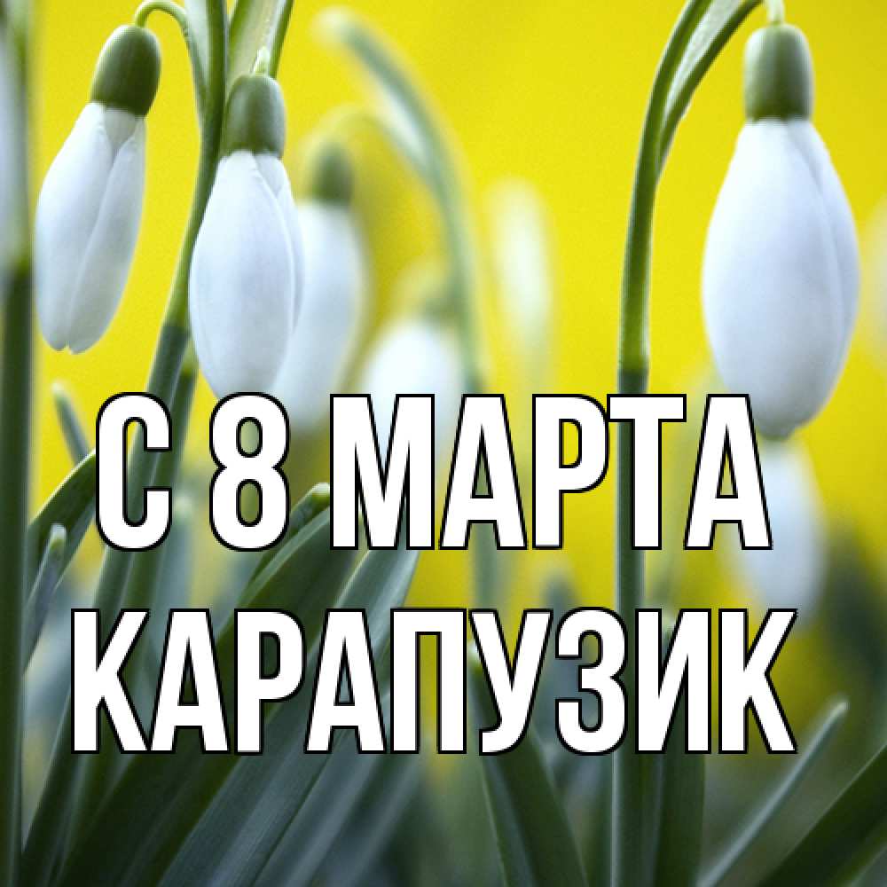 Открытка на каждый день с именем, карапузик C 8 МАРТА весенние цветы Прикольная открытка с пожеланием онлайн скачать бесплатно 