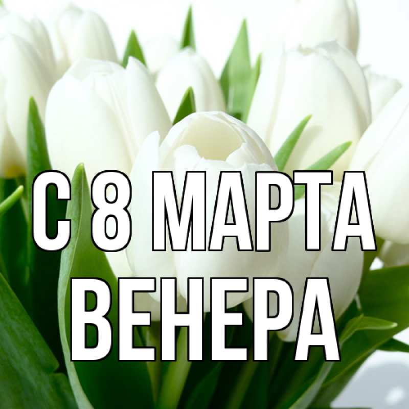 Картинка C 8 МАРТА, Венера