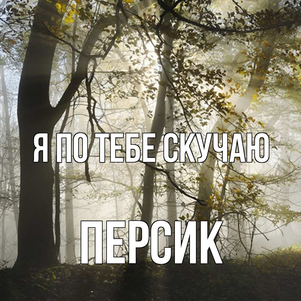 Открытка на каждый день с именем, Персик Я по тебе скучаю грустно Прикольная открытка с пожеланием онлайн скачать бесплатно 