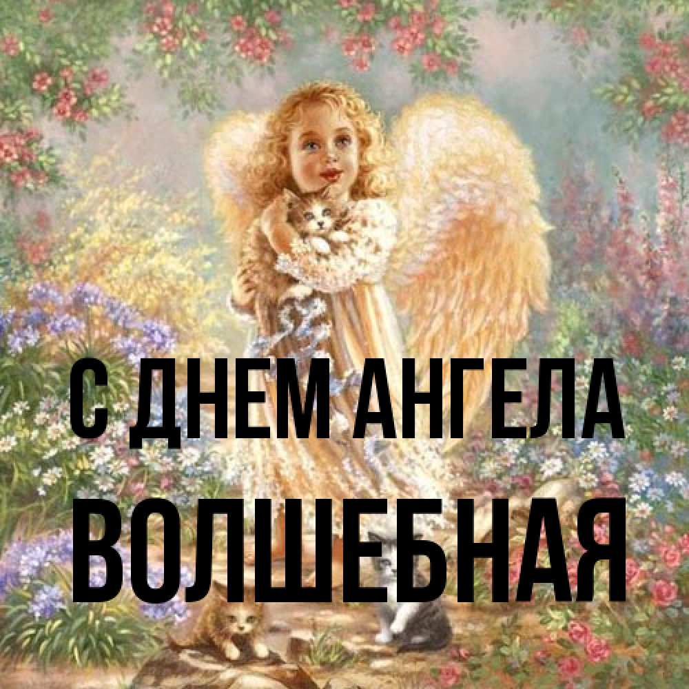 Открытка на каждый день с именем, Волшебная С днем ангела держит котенка Прикольная открытка с пожеланием онлайн скачать бесплатно 