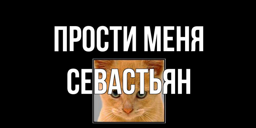 Открытка на каждый день с именем, Севастьян Прости меня рыжий грустный кот просит прощения Прикольная открытка с пожеланием онлайн скачать бесплатно 