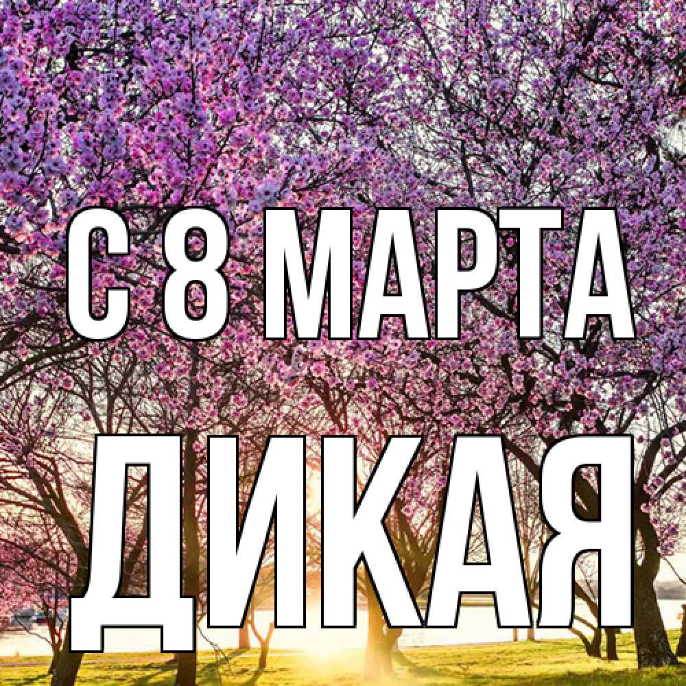 Открытка на каждый день с именем, дикая C 8 МАРТА международный женский день Прикольная открытка с пожеланием онлайн скачать бесплатно 