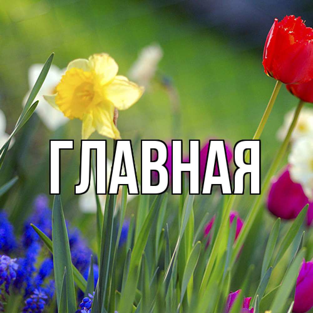 Открытка на каждый день с именем, настя Главная международный женский день 3 Прикольная открытка с пожеланием онлайн скачать бесплатно 