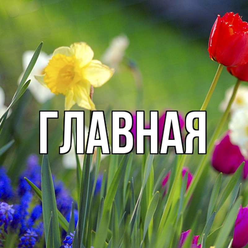 Картинка  с именем , настя