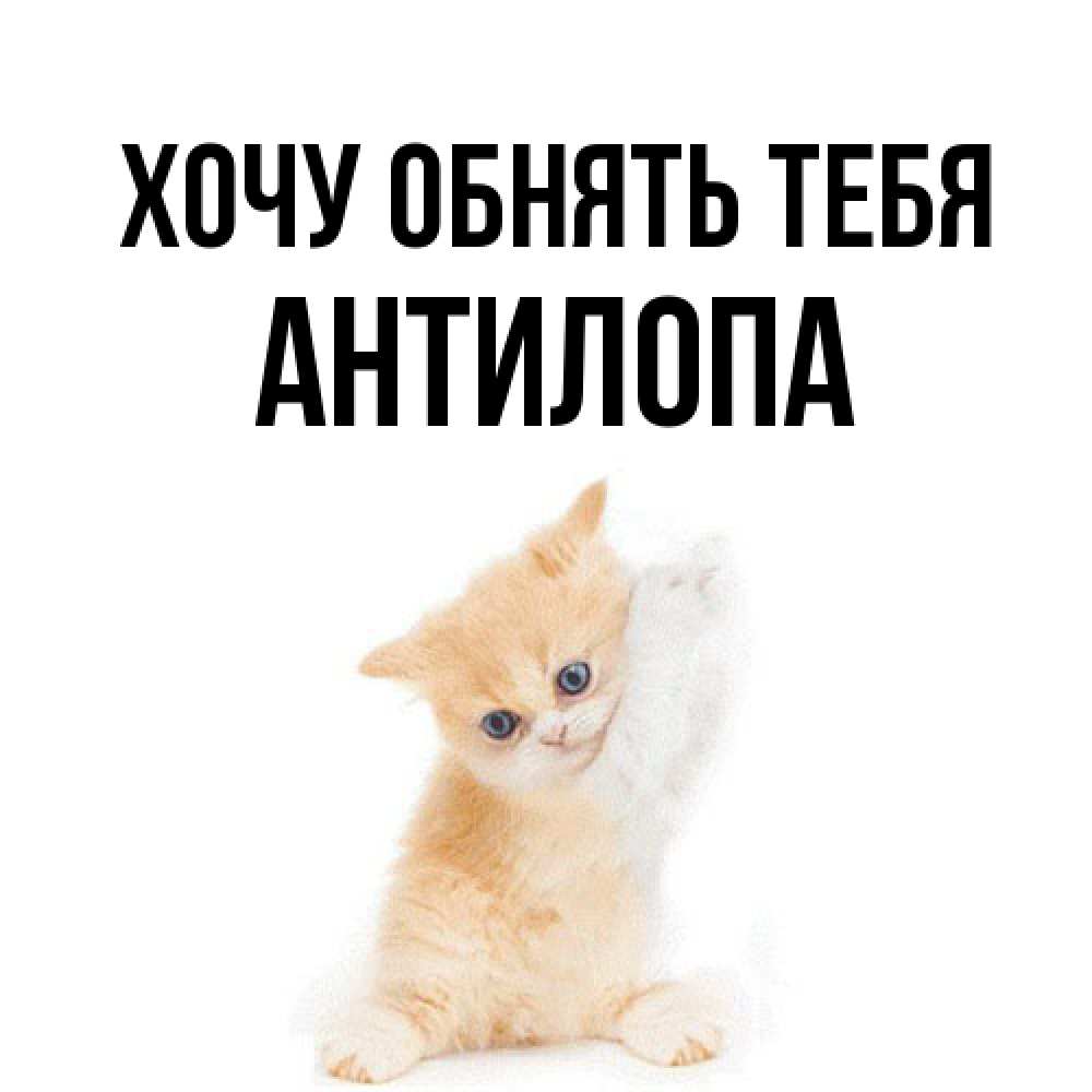 Открытка на каждый день с именем, антилопа Хочу обнять тебя я хочу очень скорее обнимаешек Прикольная открытка с пожеланием онлайн скачать бесплатно 