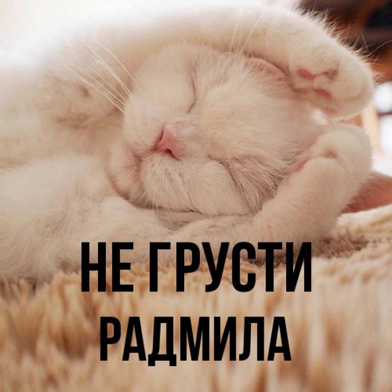 Картинка Не грусти, Радмила