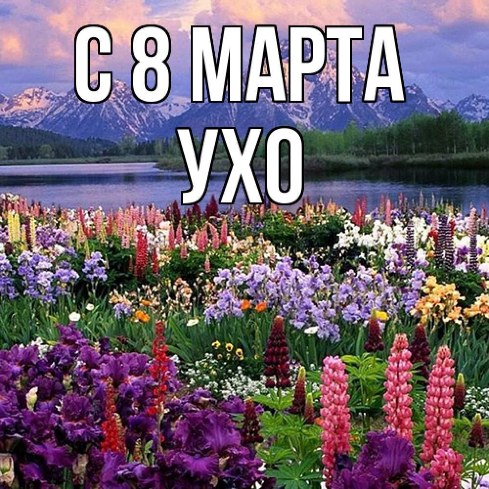 Открытка на каждый день с именем, Ухо C 8 МАРТА международный женский день Прикольная открытка с пожеланием онлайн скачать бесплатно 