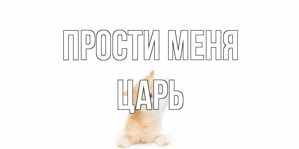 Открытка на каждый день с именем, Царь Прости меня кот Прикольная открытка с пожеланием онлайн скачать бесплатно 