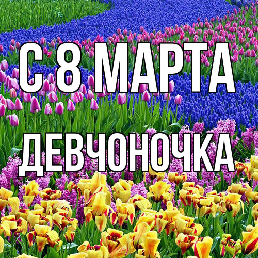 Открытка на каждый день с именем, девчоночка C 8 МАРТА цветы Прикольная открытка с пожеланием онлайн скачать бесплатно 