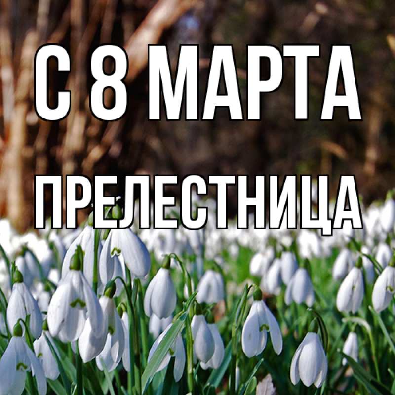 Картинка C 8 МАРТА, Прелестница