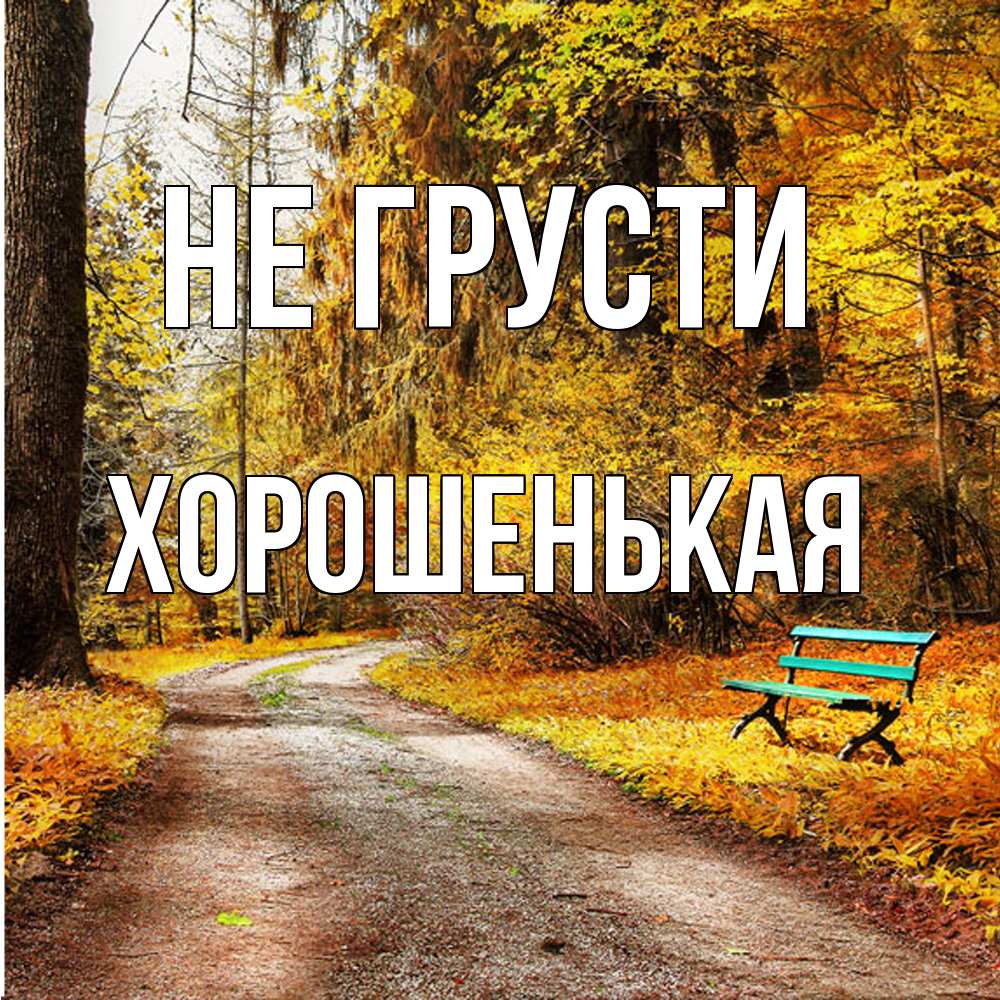 Открытка на каждый день с именем, хорошенькая Не грусти зеленая лавочка Прикольная открытка с пожеланием онлайн скачать бесплатно 