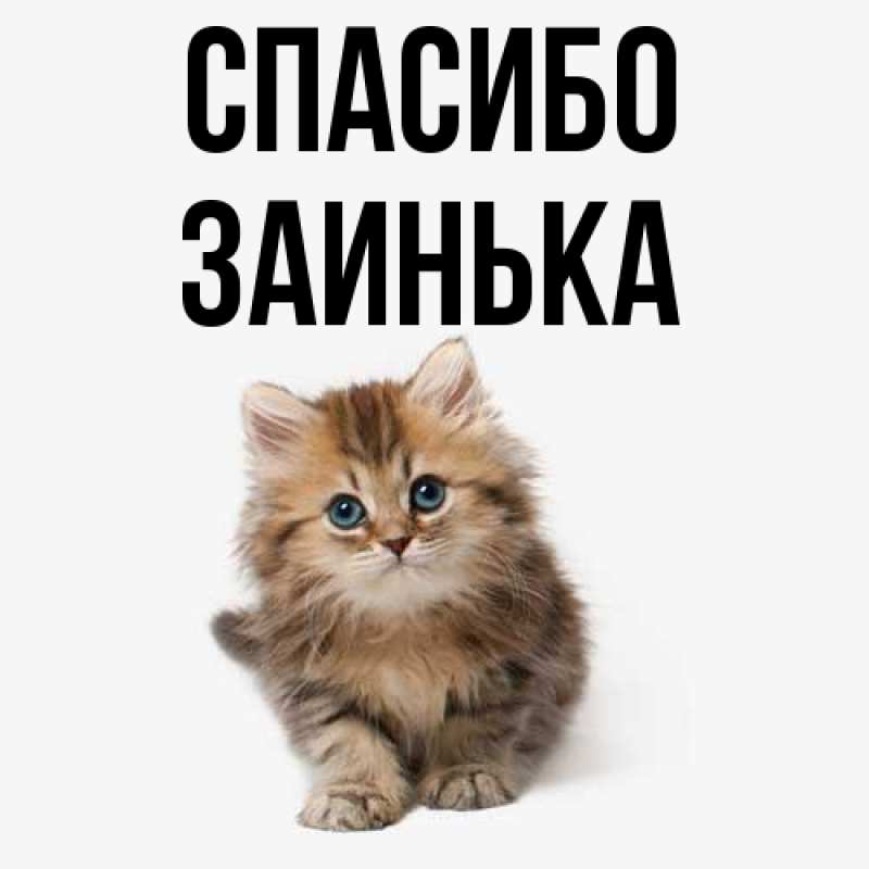 Картинка Спасибо, Заинька