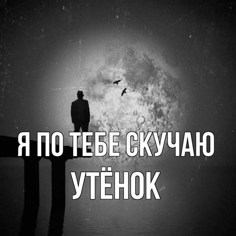 Картинка Я по тебе скучаю, Утёнок