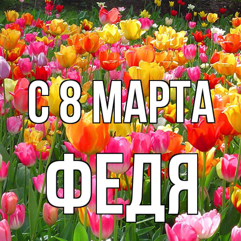 Открытка на каждый день с именем, Федя C 8 МАРТА на международный женский день Прикольная открытка с пожеланием онлайн скачать бесплатно 