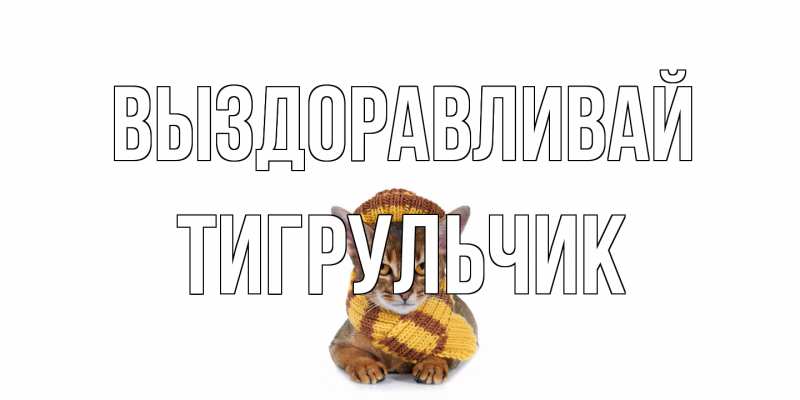 Картинка Выздоравливай, Тигpульчик