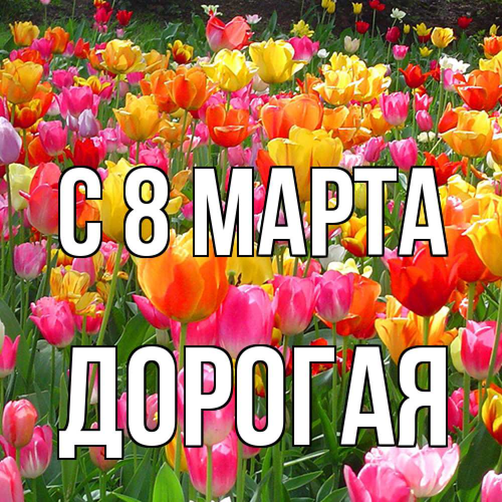 Открытка на каждый день с именем, Дорогая C 8 МАРТА на международный женский день Прикольная открытка с пожеланием онлайн скачать бесплатно 
