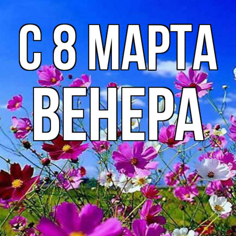 Картинка C 8 МАРТА, Венера