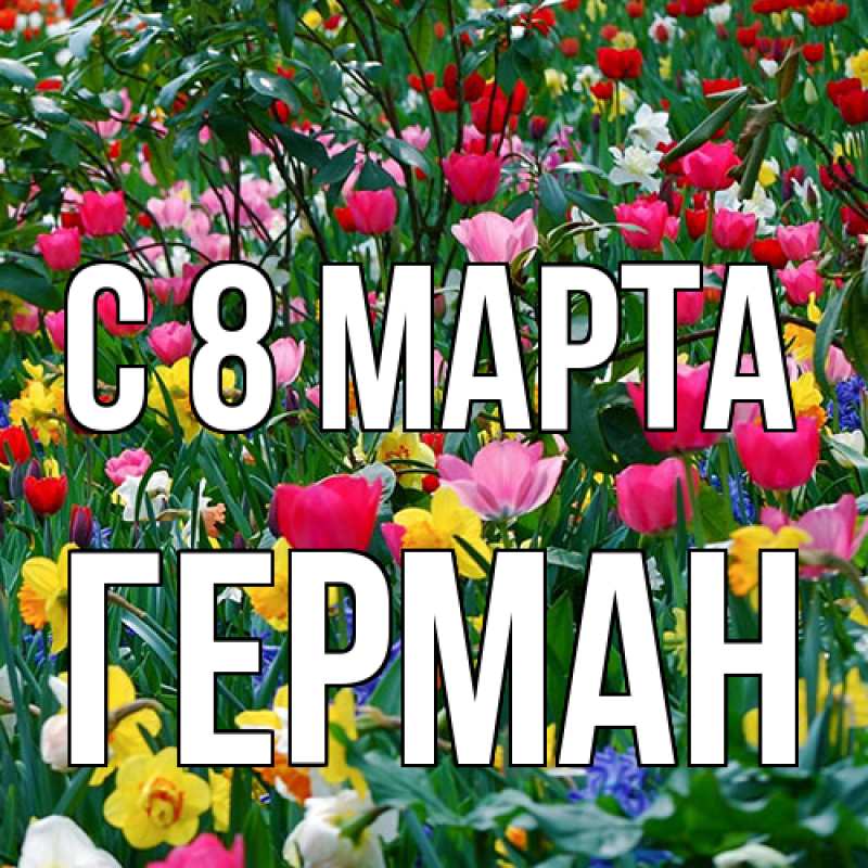 Картинка C 8 МАРТА, Герман