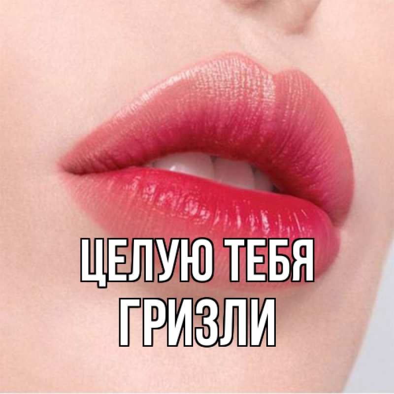 Картинка Целую тебя, Гризли