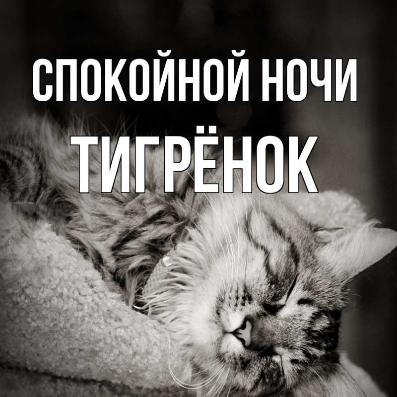 Картинка Спокойной ночи, Тигрёнок