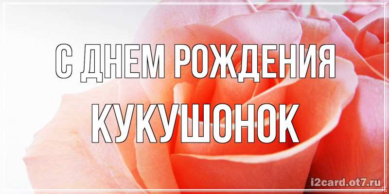 Картинка С днем рождения, кукушонок